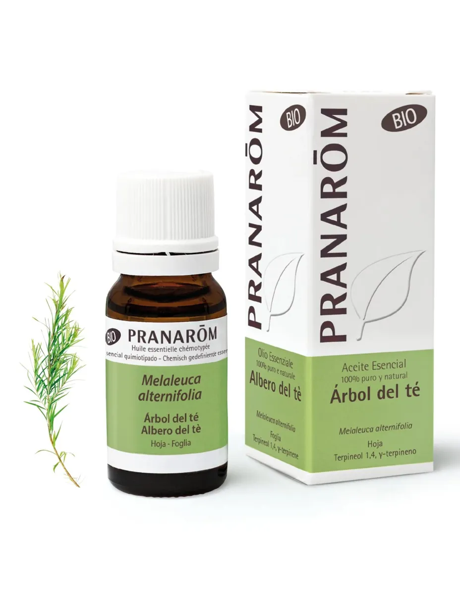 Aceite esencial, Árbol del Té, BIO, 10 ml