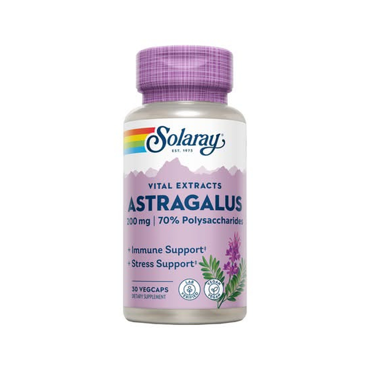 Astragalus, 200 mg, 30 cápsulas veganas