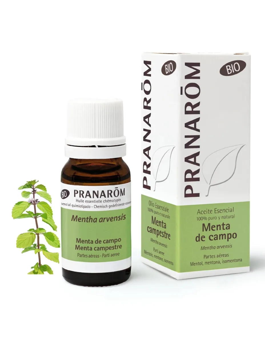Aceite esencial, Menta de Campo, BIO, 10 ml