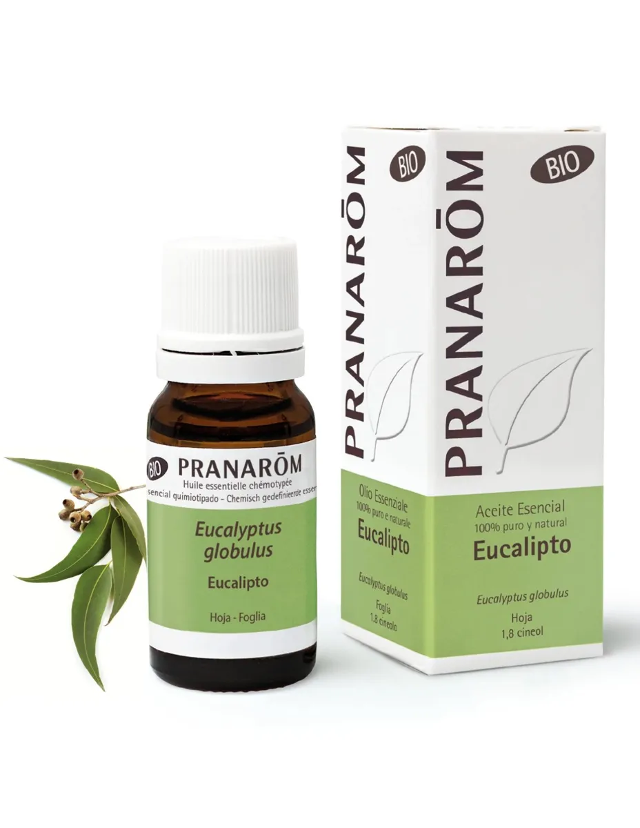 Aceite esencial, Eucalipto, BIO, 10ml