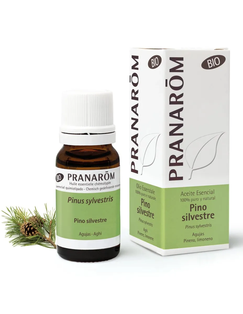 Aceite esencial, Pino silvestre, BIO, 10ml