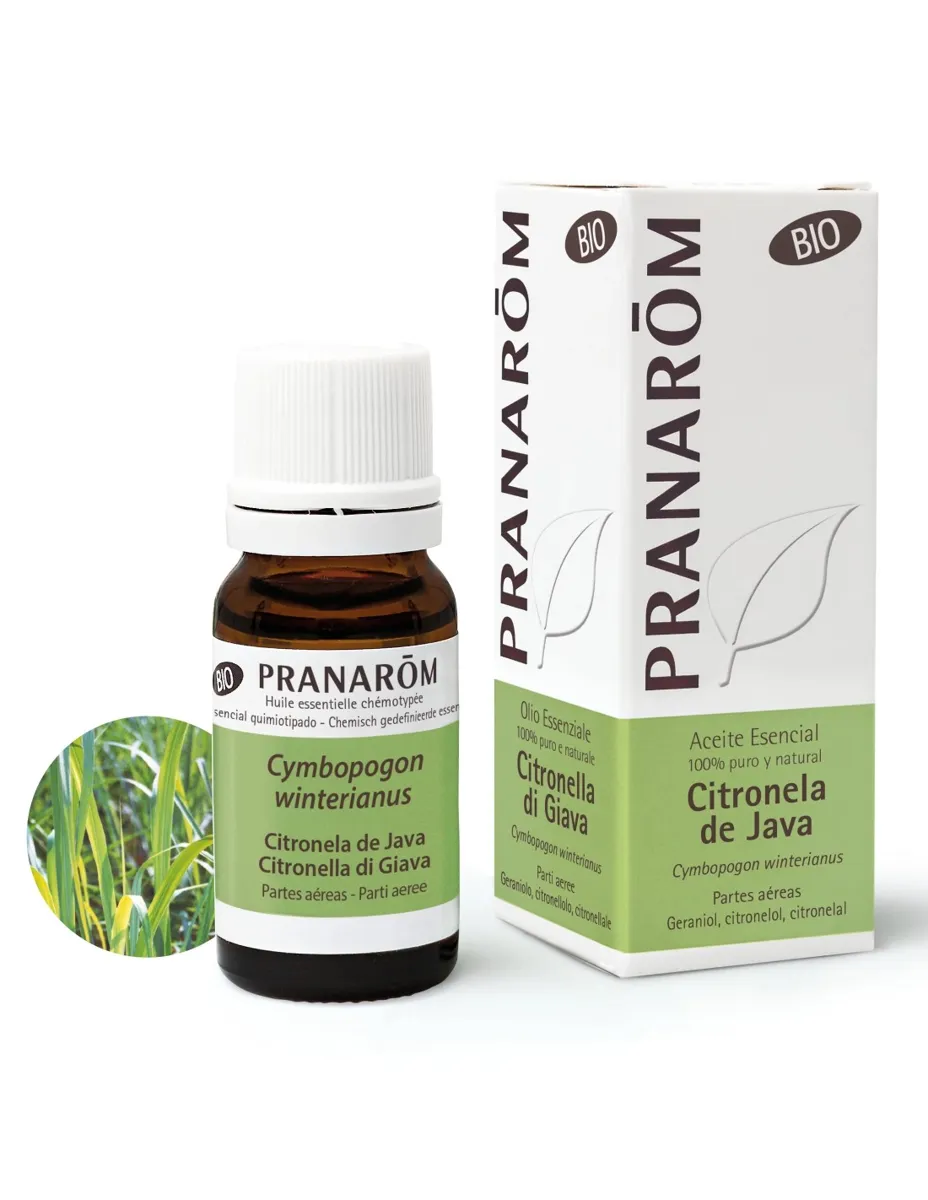 Aceite esencial, Citronela de Java, BIO, 10 ml